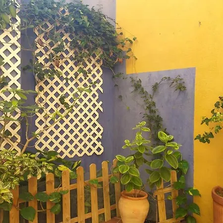 Casa Emi. La Alpispa. Apartment