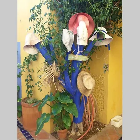Casa Emi. La Alpispa. * Los Silos
